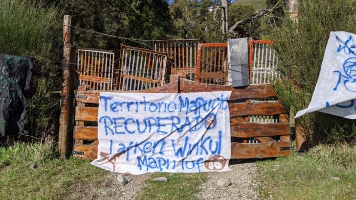 mapuche
