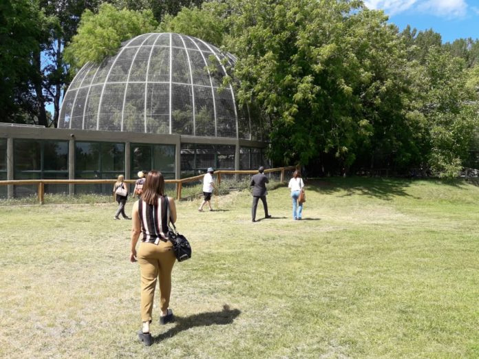 zoologico