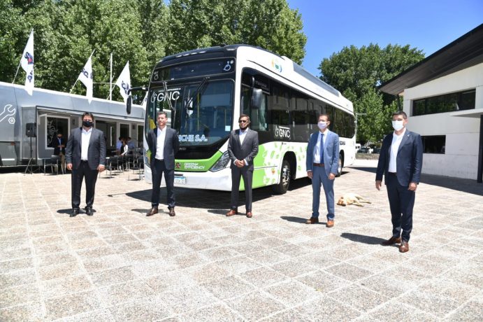 colectivo