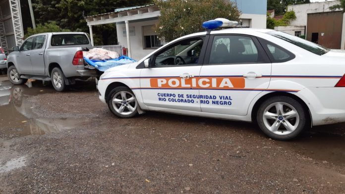 policia
