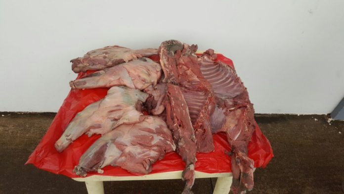 carne