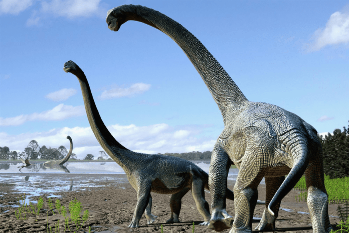 dino