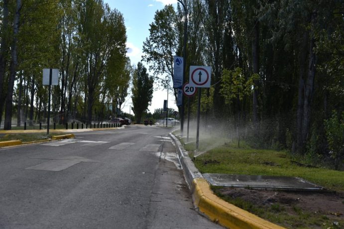 paseo