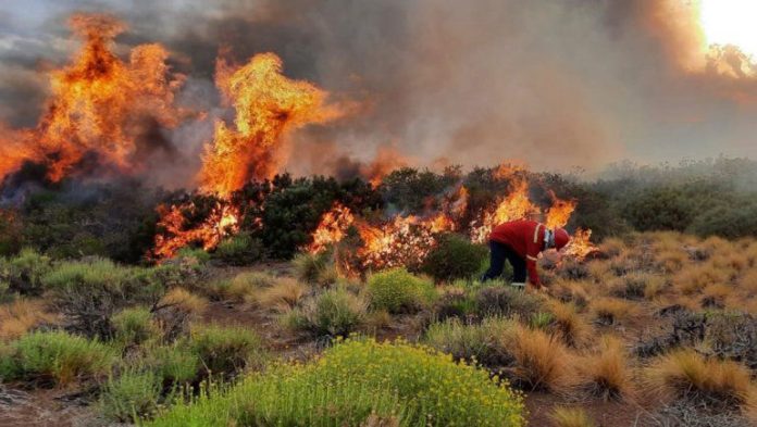 incendio-neuquen