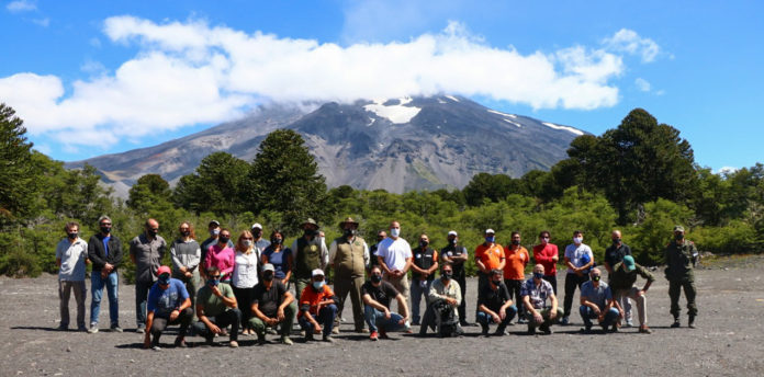 web-lanin2