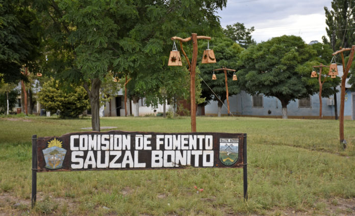 sauzal-bonito