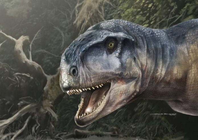 llukalkan-aliocranianus-dinosaurio_630_1140