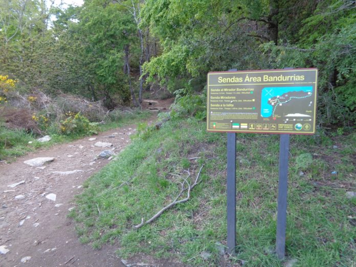 bandurrias-san-martin