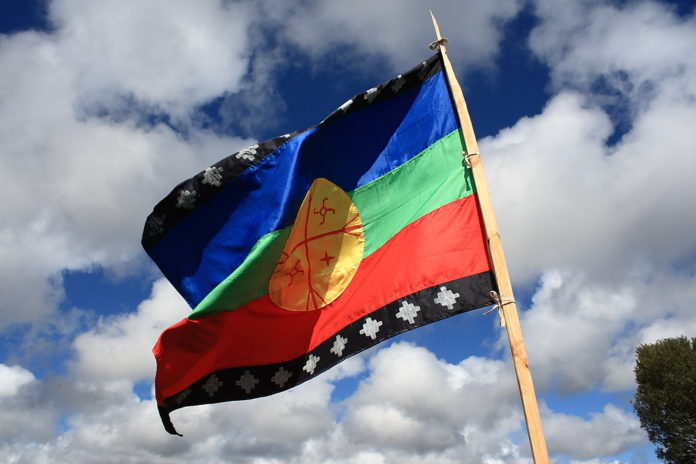 mapuche-bandera