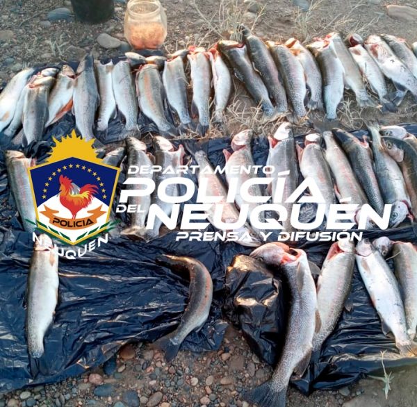 pesca