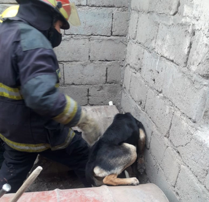 zapala-bomberos