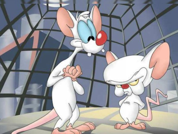 pinky-cerebro