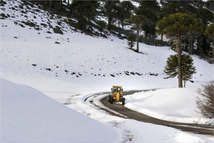 ruta23_pehuenia