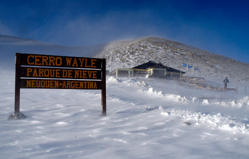 web-wayle-1