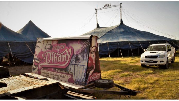 circo