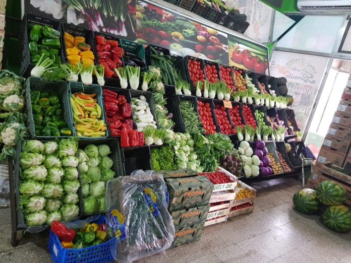 verduras-alimento