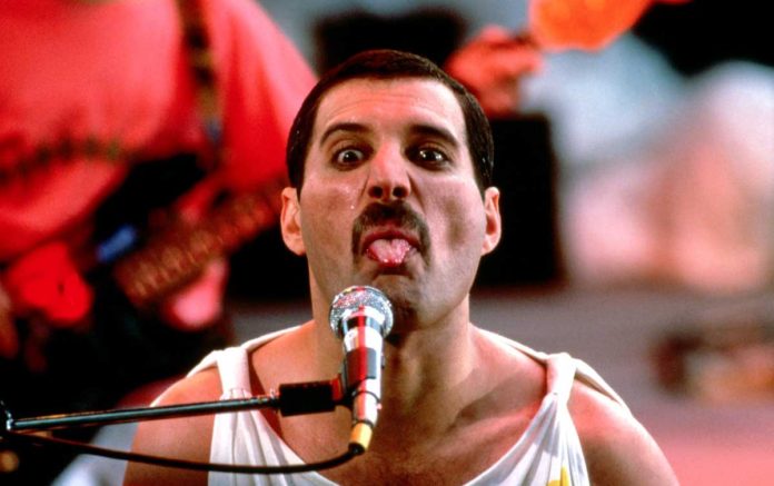 Freddie-Mercury