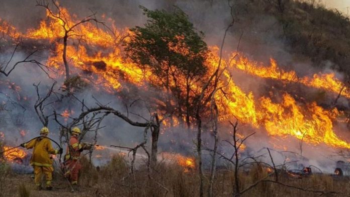 incendios-forestales-la-patagoniajpg