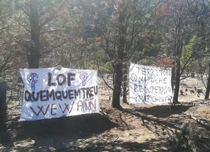 mapuches.rionegro