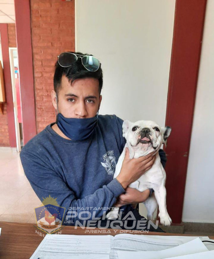 perro