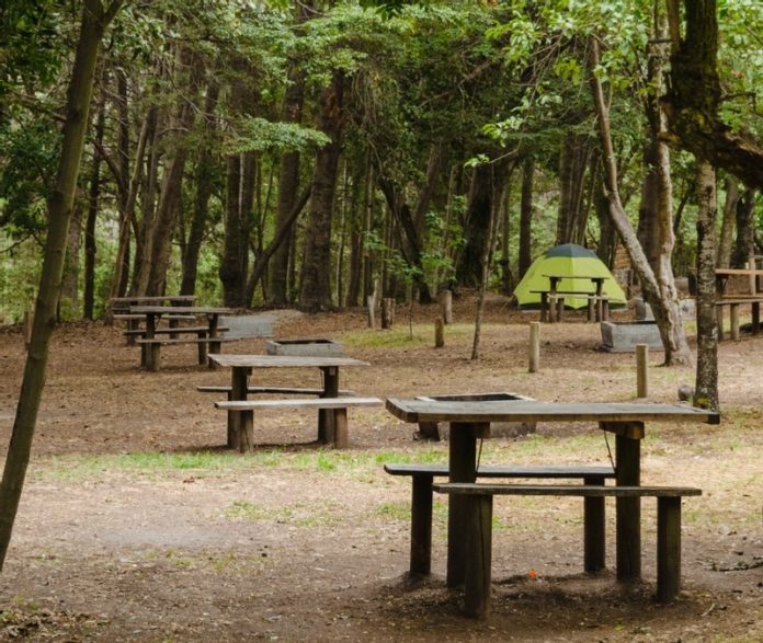 Camping