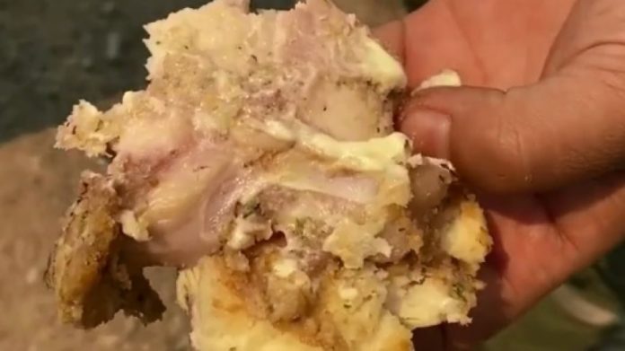 pollo-1