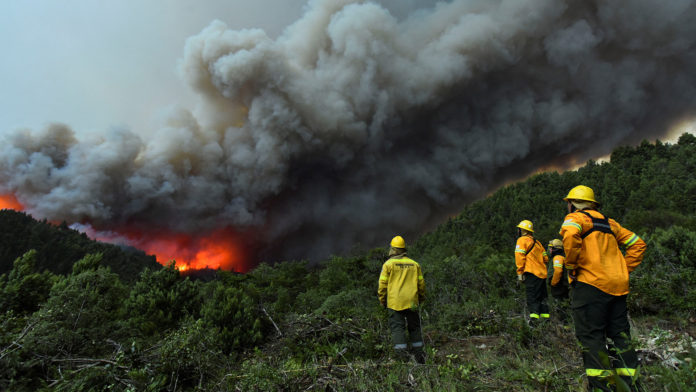 Forest fires continue in Argentina's Patagonia