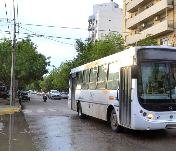 colectivo