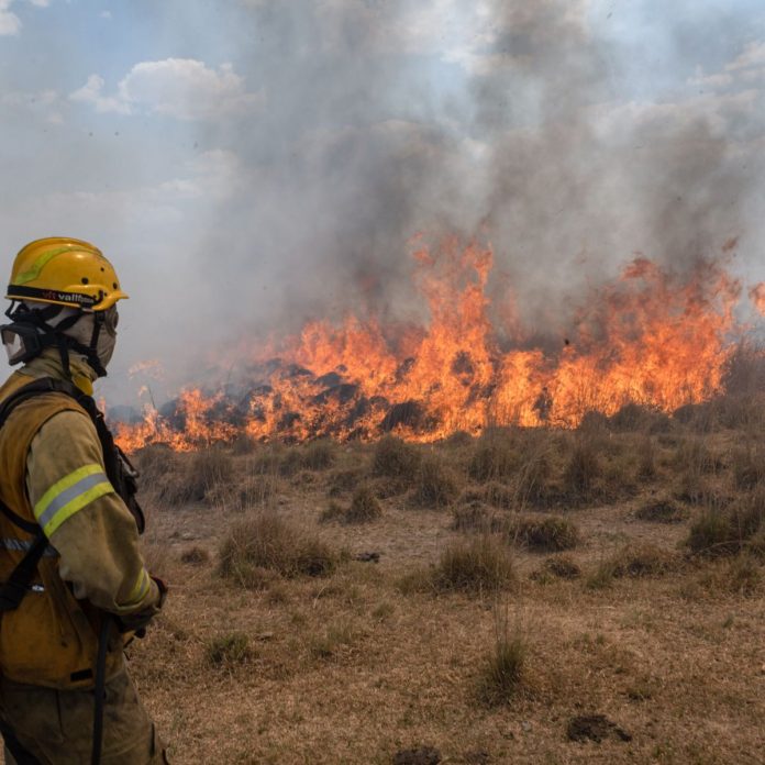 incendios-bomberos-fuego-corrientes-febrero-2022
