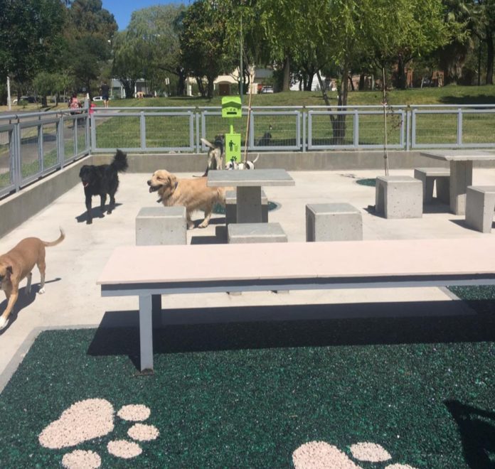 plaza-perros