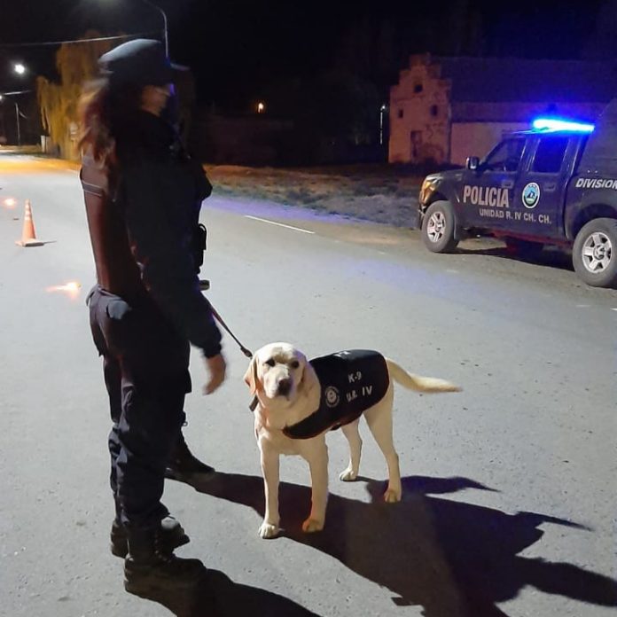 policía