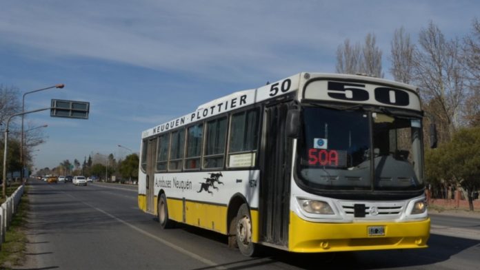 colectivo
