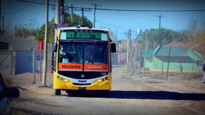 colectivo