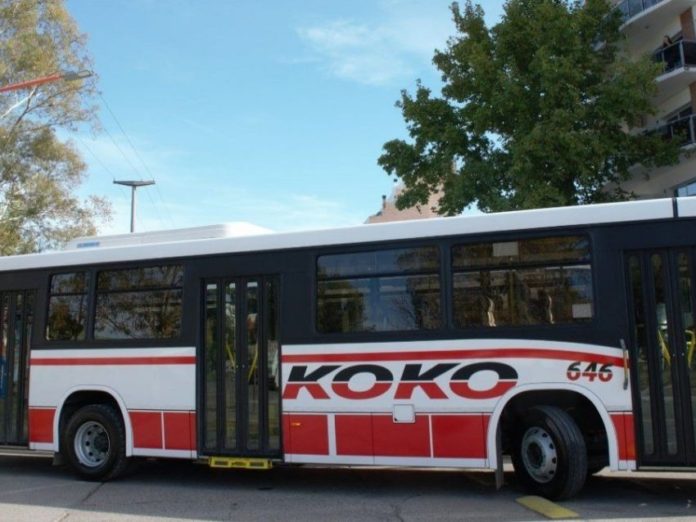 koko-cole