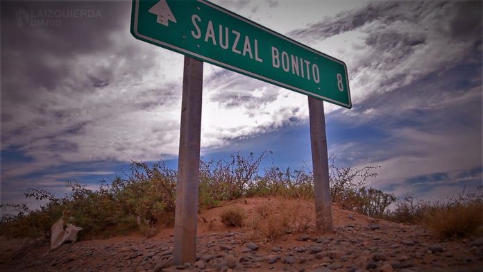 sauzal.bonito