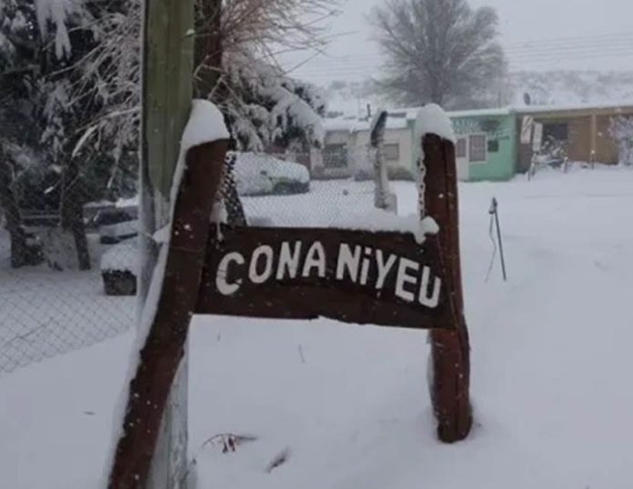 Cona-Niyeu