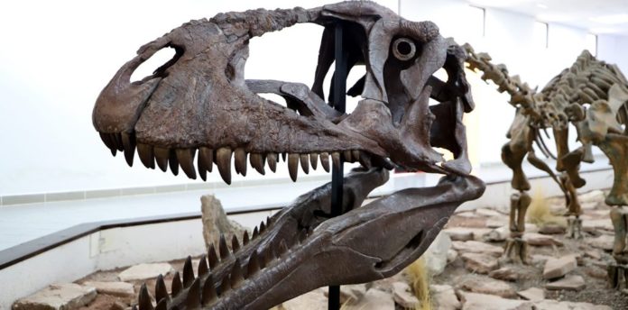 Dinos-3-1024x506