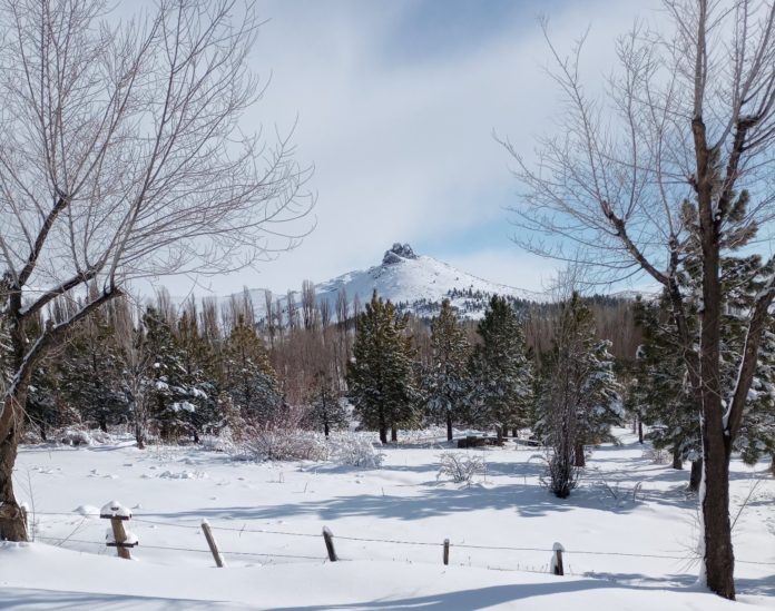 nieve