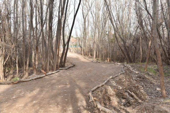 Parque-Agreste-Sur-2-691x460