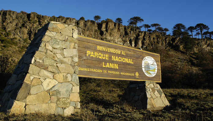 Parque-Nacional-Lanin