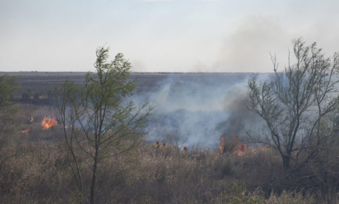 Las fuerzas armadas argentinas apoyan combate del fuego en Delta del Paraná