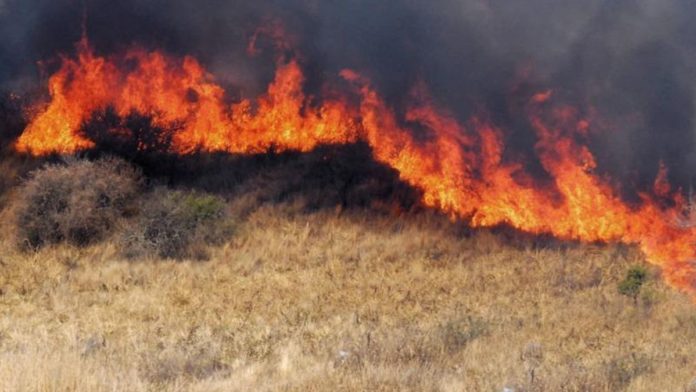incendios-pastizales