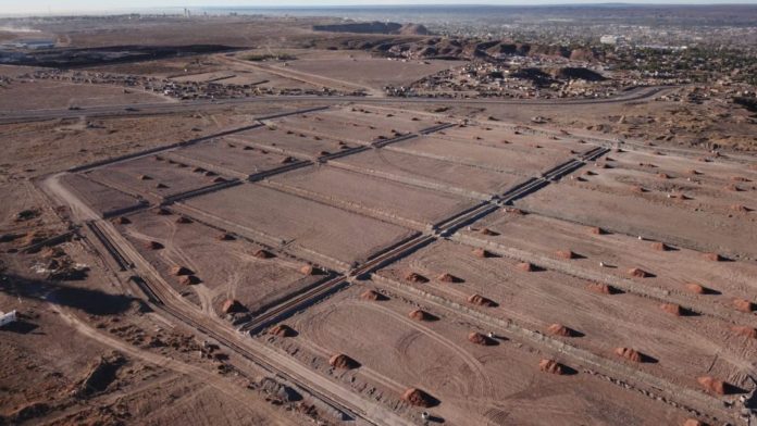 lotes-meseta