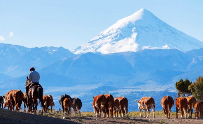 volcan-lanin