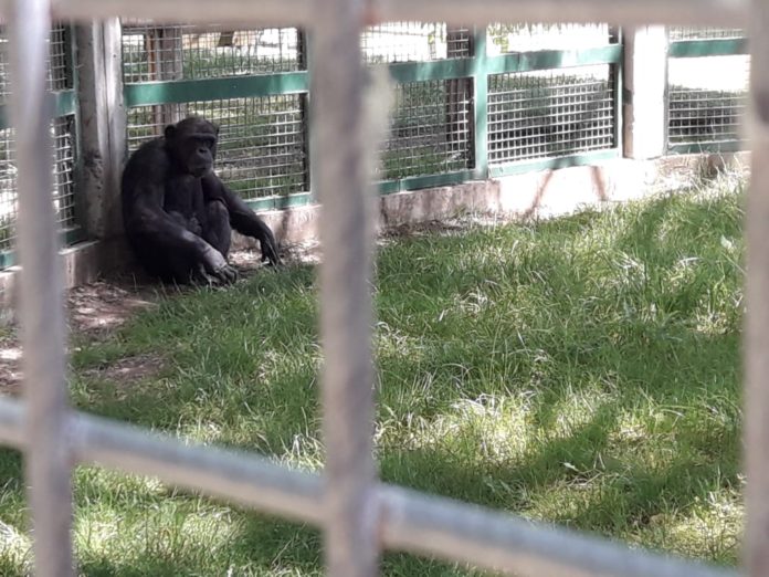 zoo