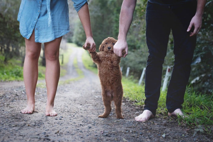 familia