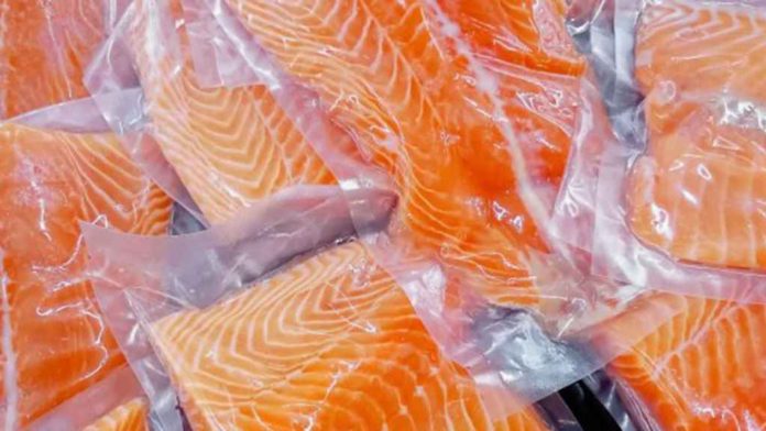 salmon