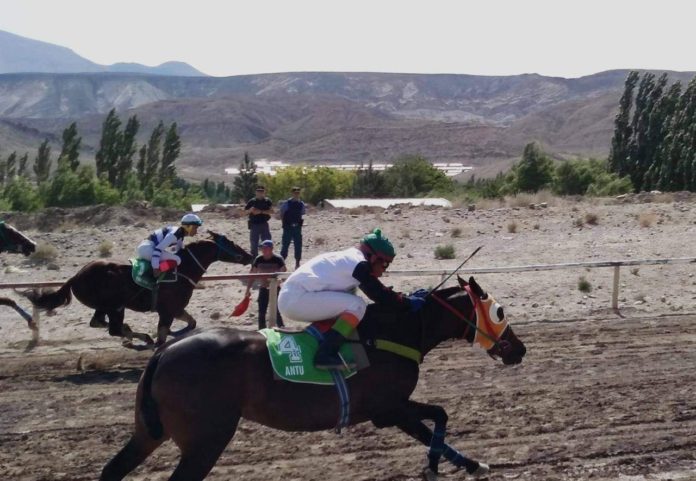 Carreras.ilegales