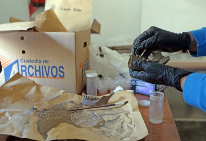 Científicos.Conicet