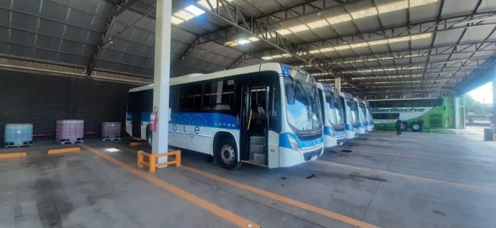 Colectivos